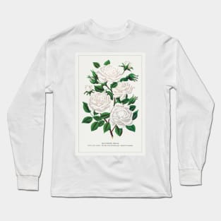 White rose, Baltimore Belle lithograph (1900) Long Sleeve T-Shirt